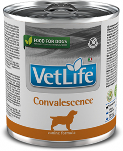 Vet Life Dog Convalescence 